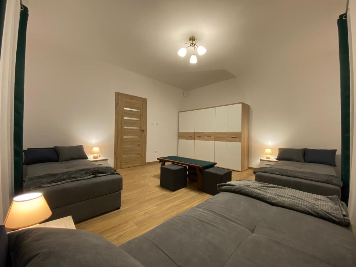 Noclegi Dukla Apartment *